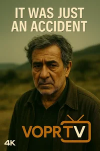 iptv 4 It Was Just an Accident – Thriller 2025